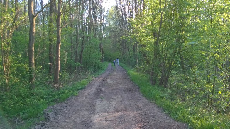 WP_20150502_18_53_02_Pro