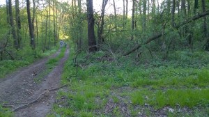 WP_20150502_18_47_01_Pro