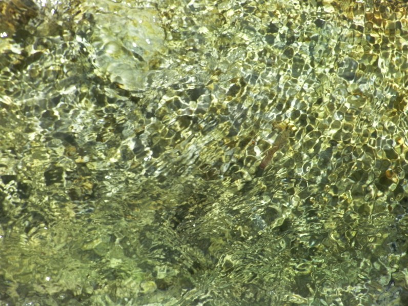 SANYO DIGITAL CAMERA