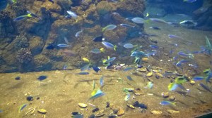 WP_20150228_10_06_02_Pro