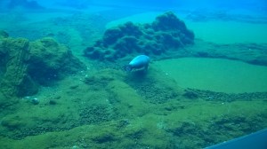 WP_20150228_10_35_38_Pro