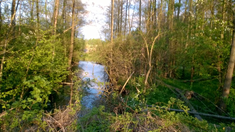 WP_20150502_18_52_21_Pro