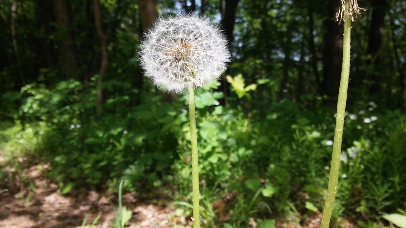 20150516_120938
