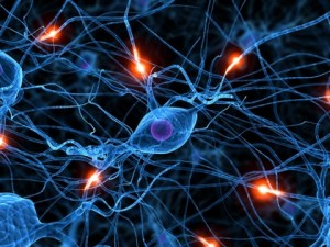 brain%20synapse%20neurons%201600x1200%20wallpaper_www_wallpapername_com_11