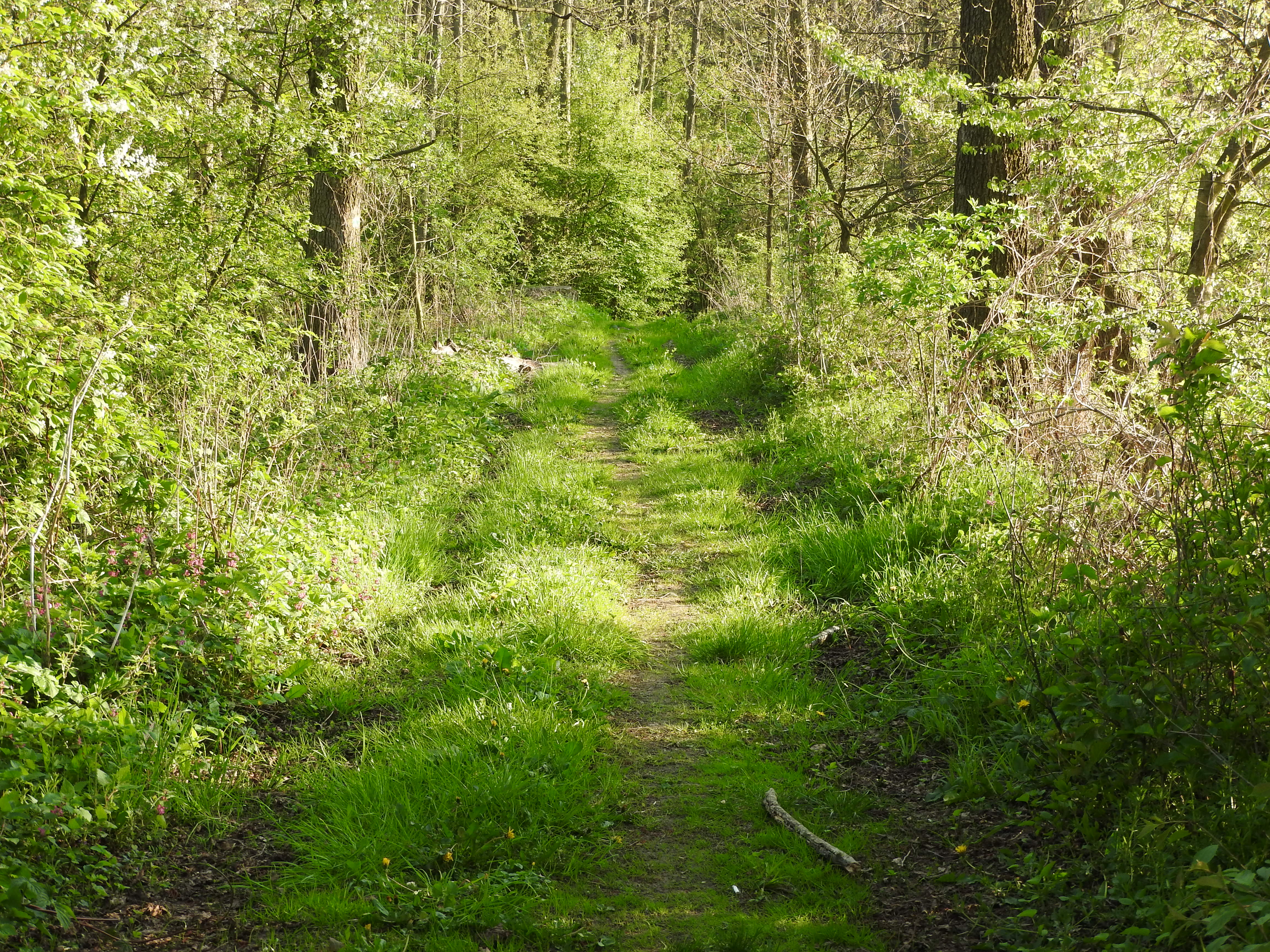 majówka2016 023.JPG