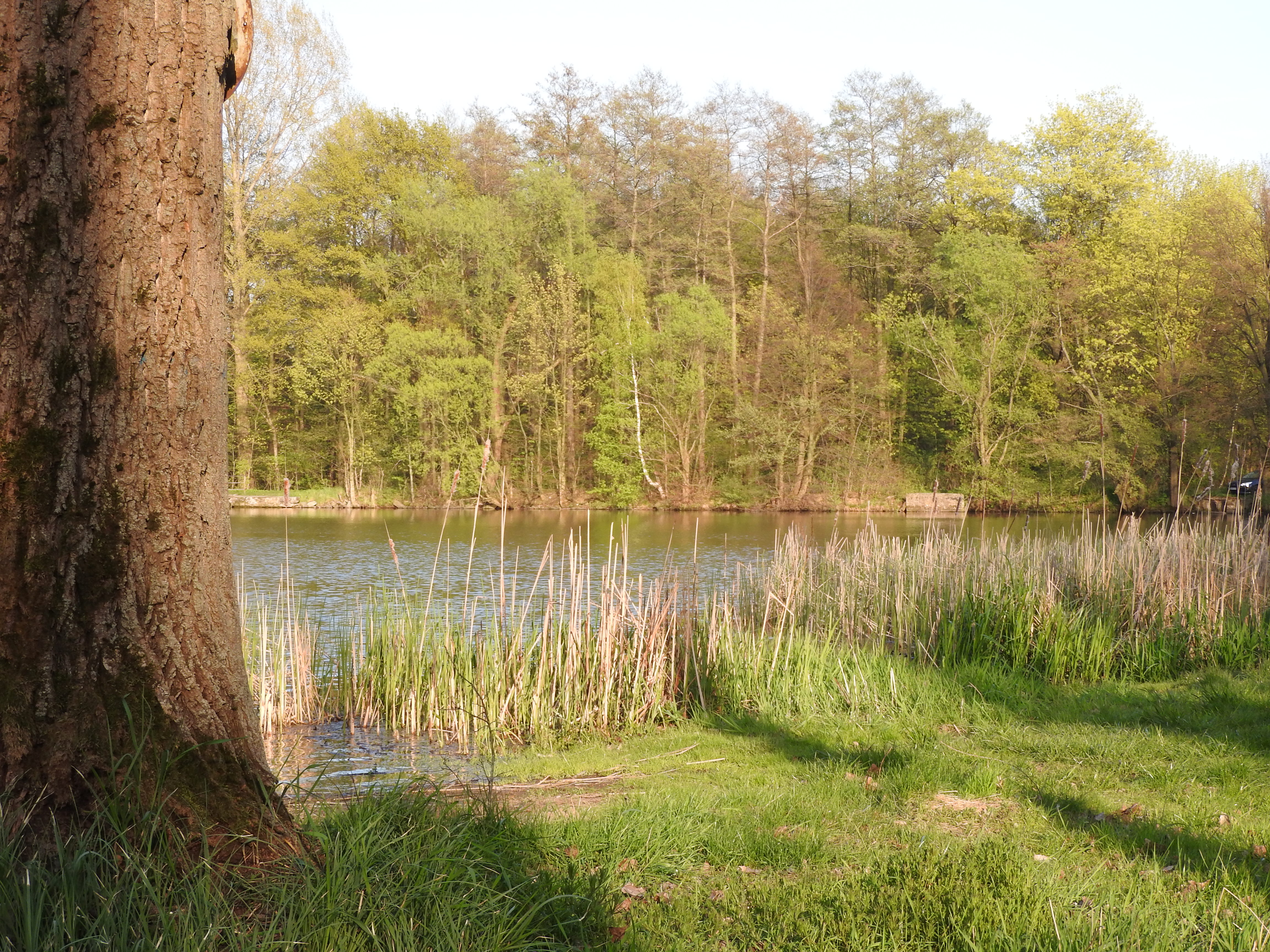 majówka2016 051.JPG