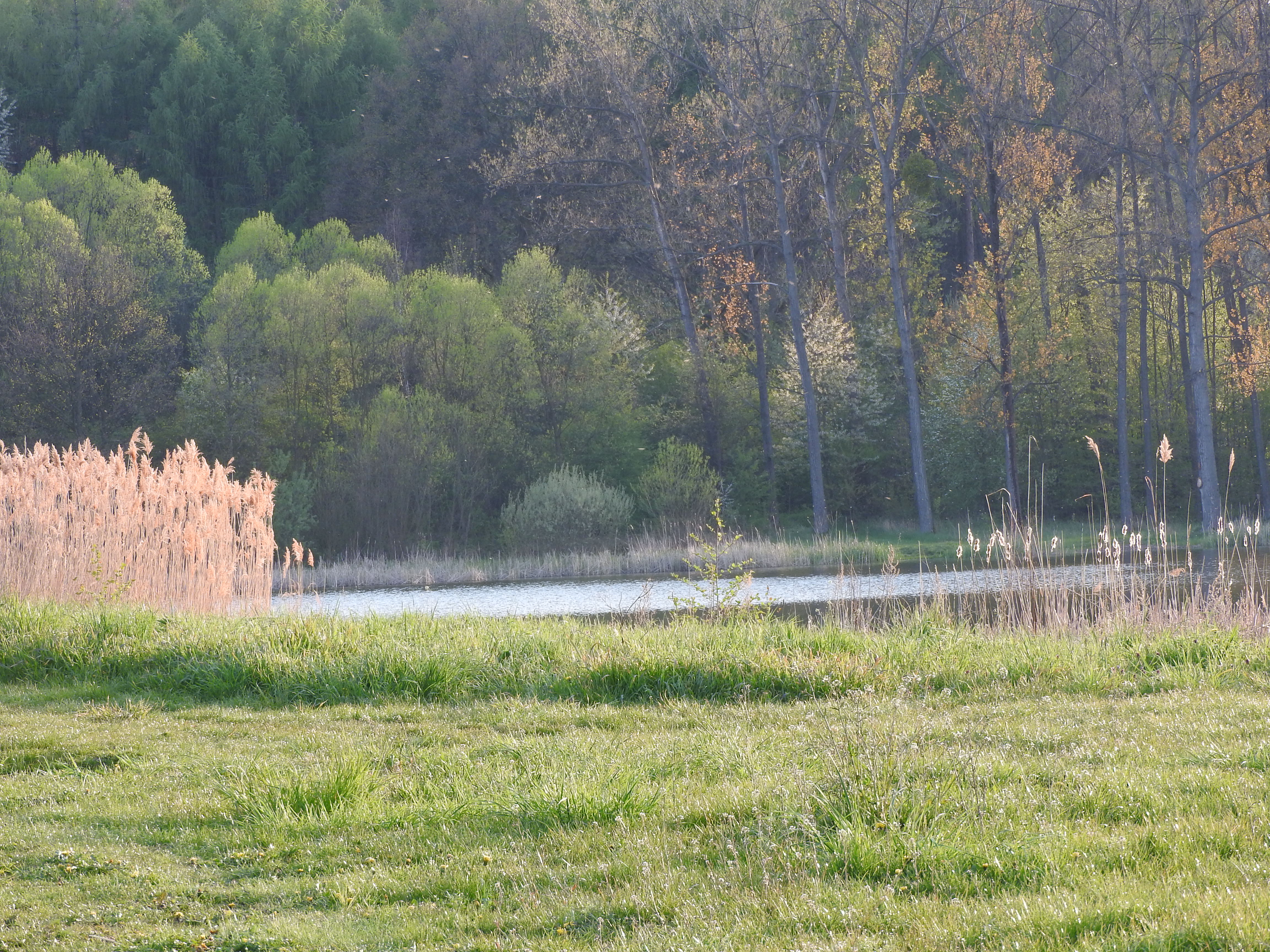 majówka2016 112.JPG