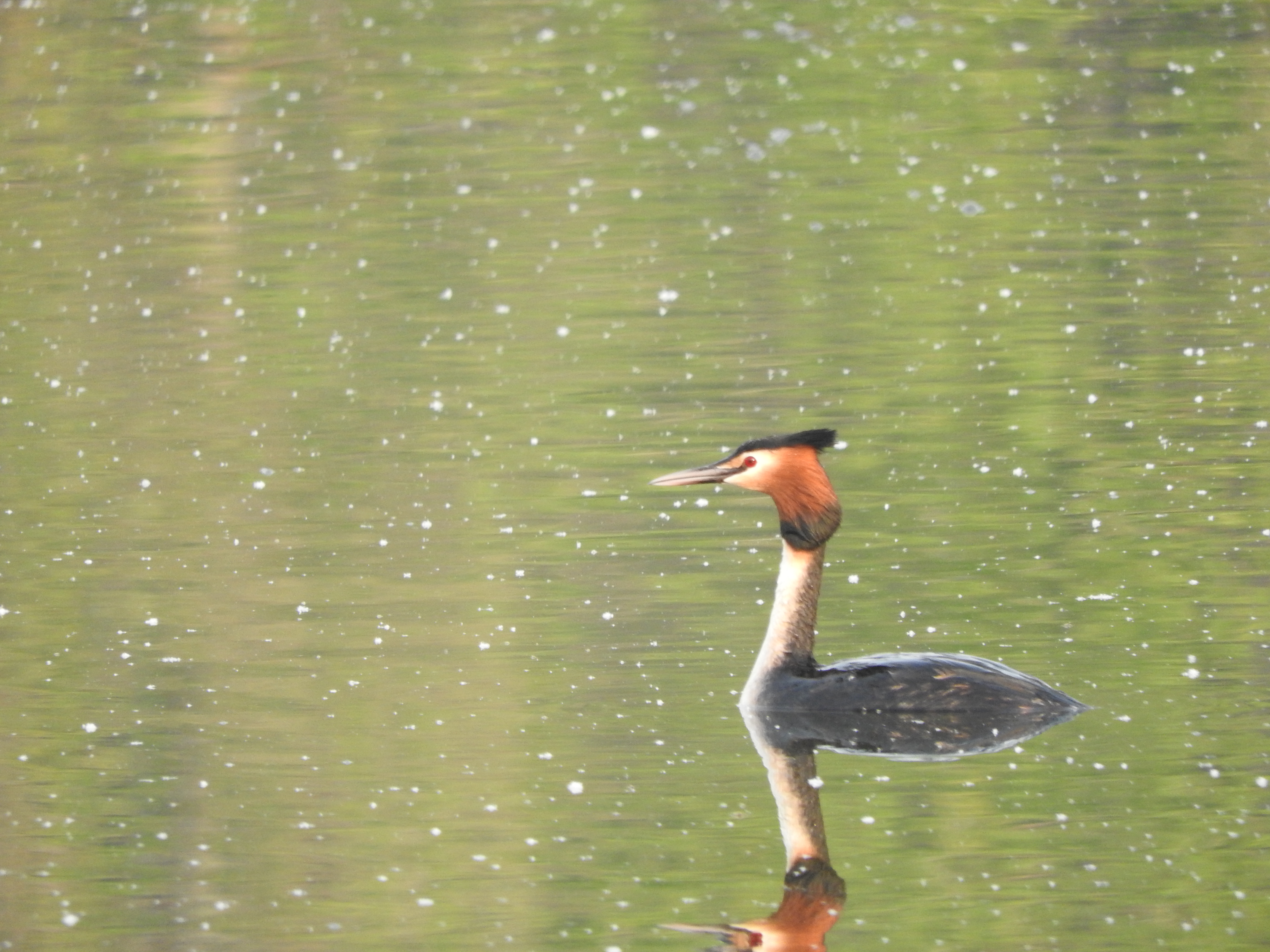 majówka2016 157.JPG