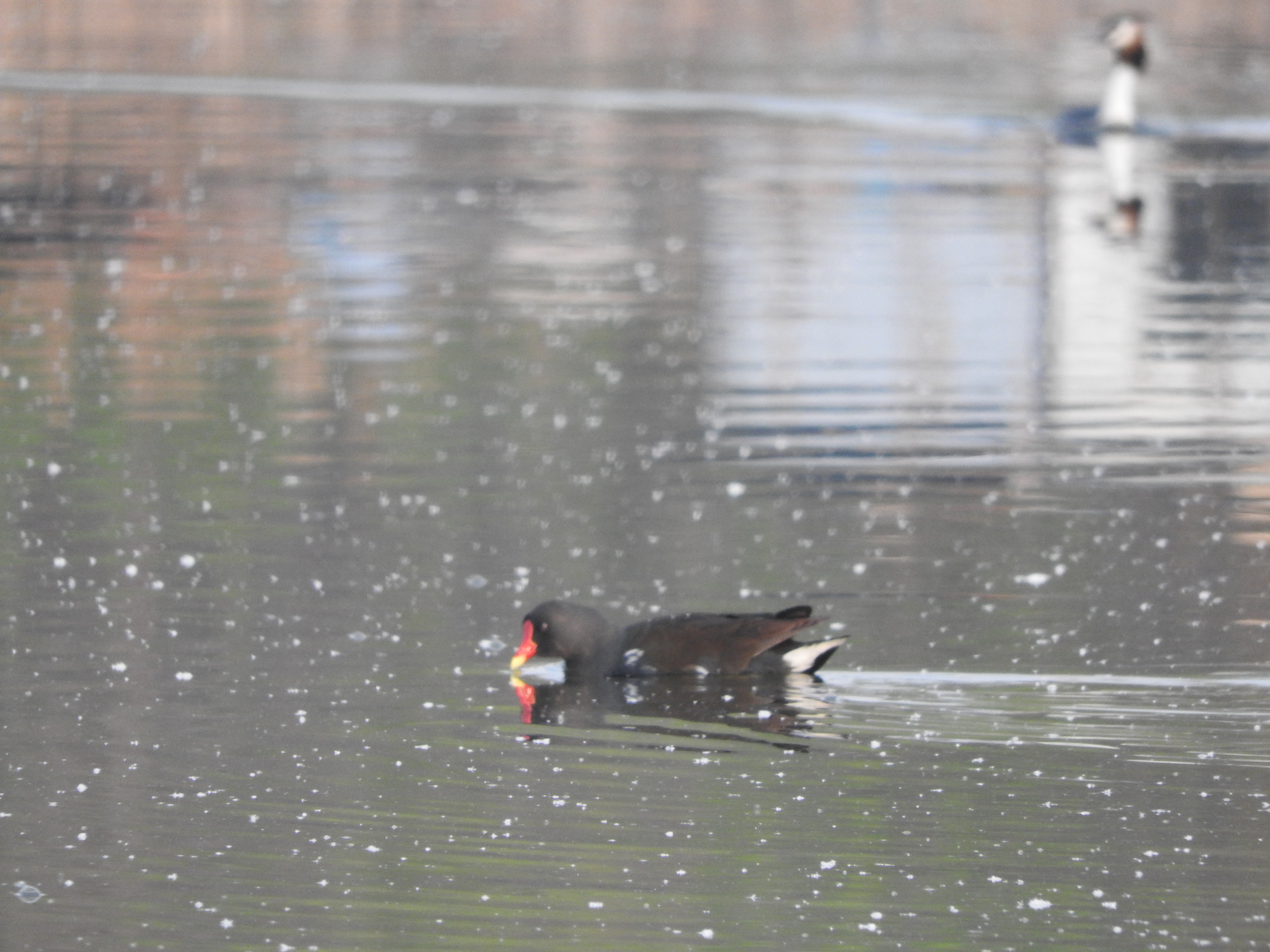 majówka2016 166.JPG