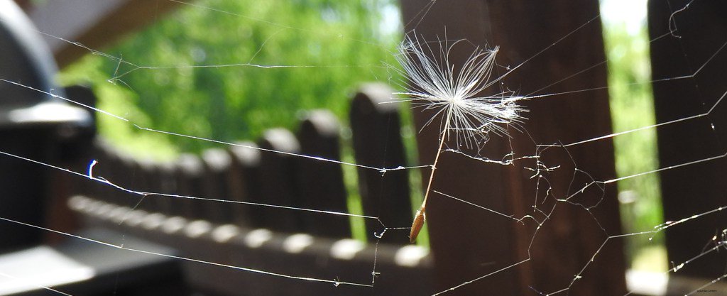 Przytłoczenie bodźcami wzrokowymi w&nbsp;ASD