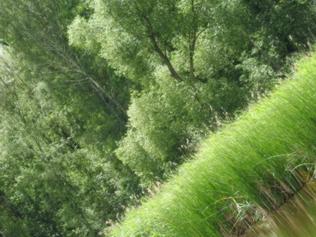 Odkrywać świat i się rozwijać – edukacja&nbsp;bazalna