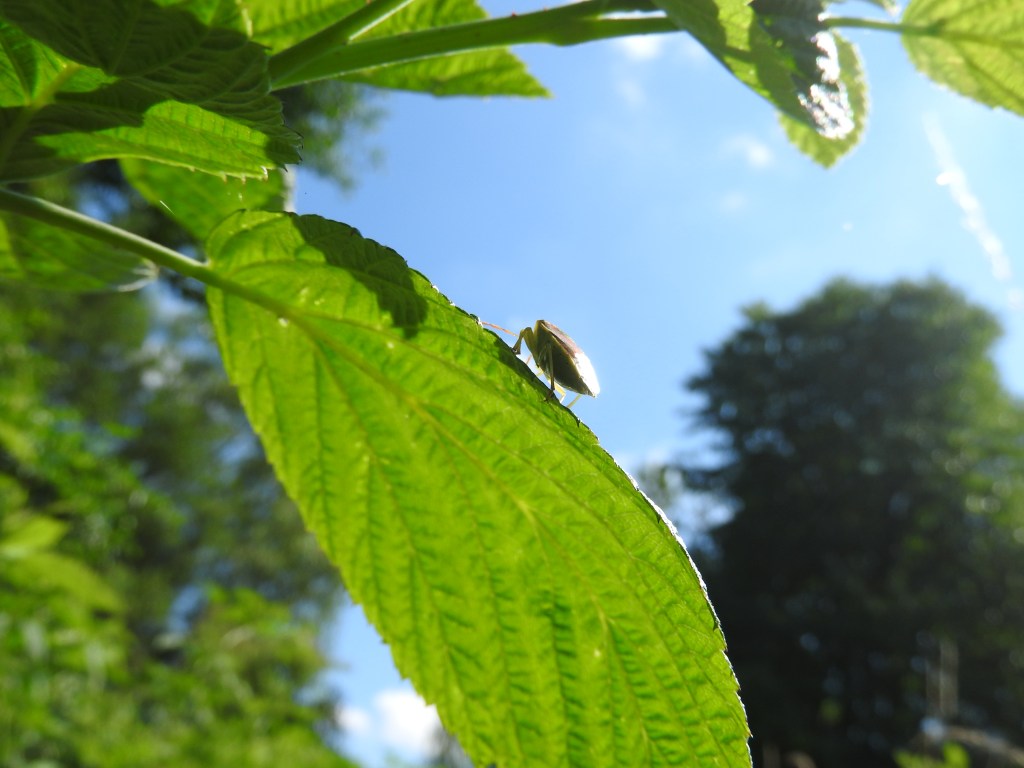Sposób na relaks w&nbsp;ZA