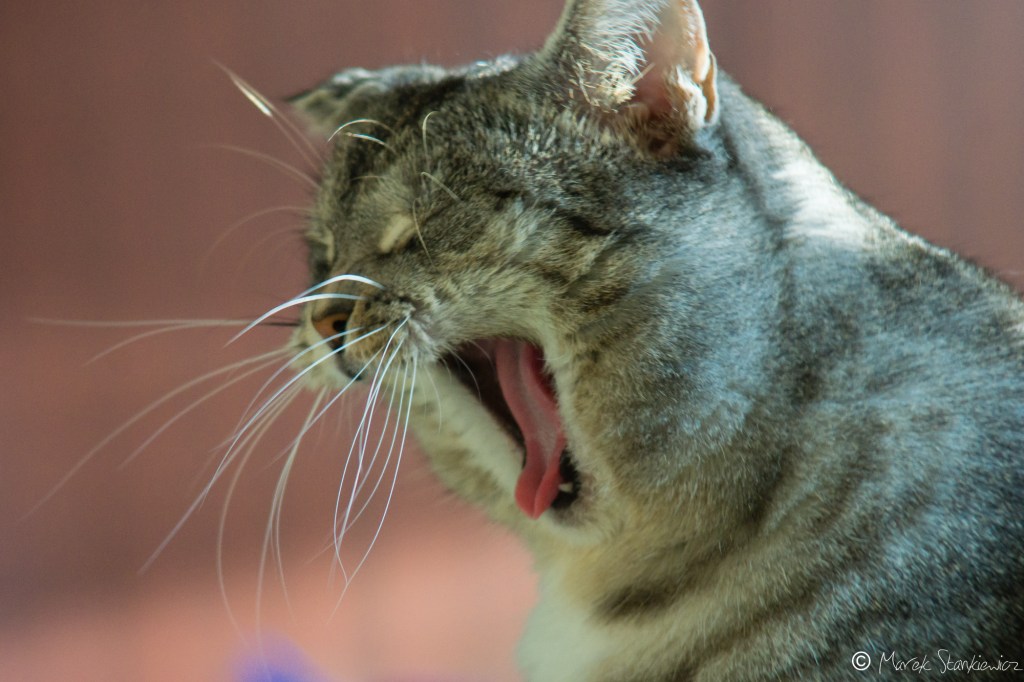 Dlaczego to wszystko