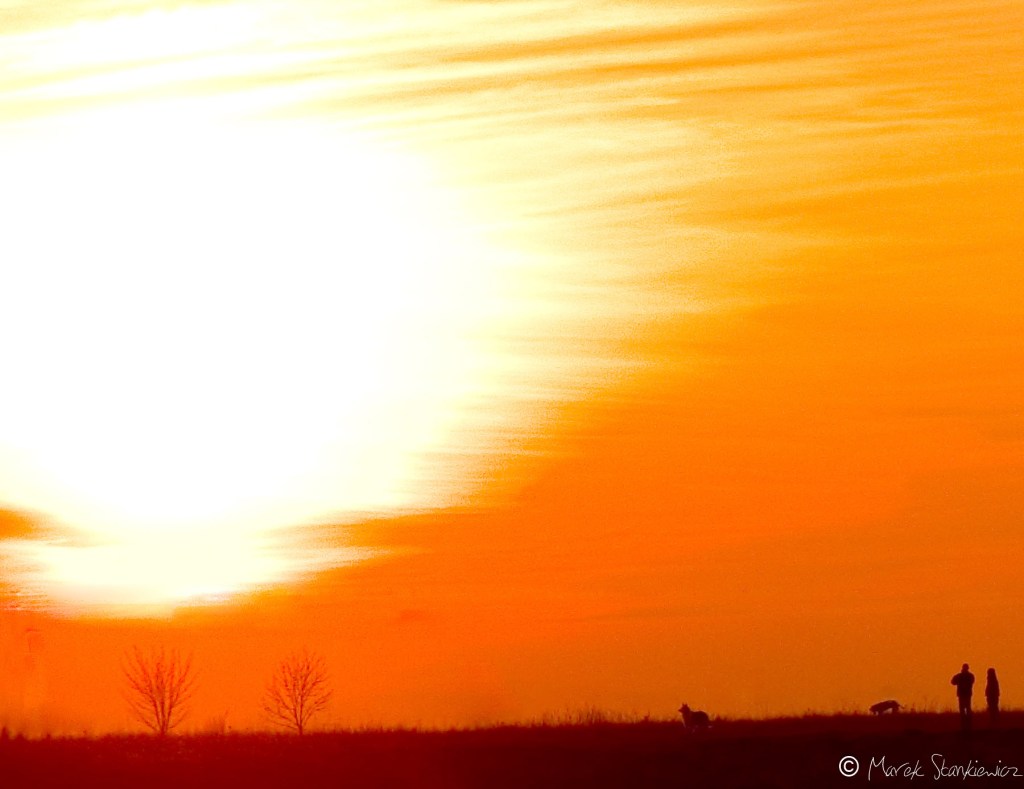 Dlaczegóż nie niebieski&nbsp;puzelek?