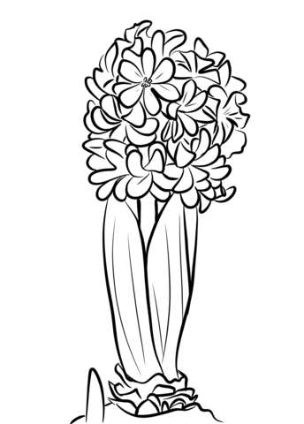 Hiacynt – arkusz pracy dla ucznia ze spektrum&nbsp;autyzmu