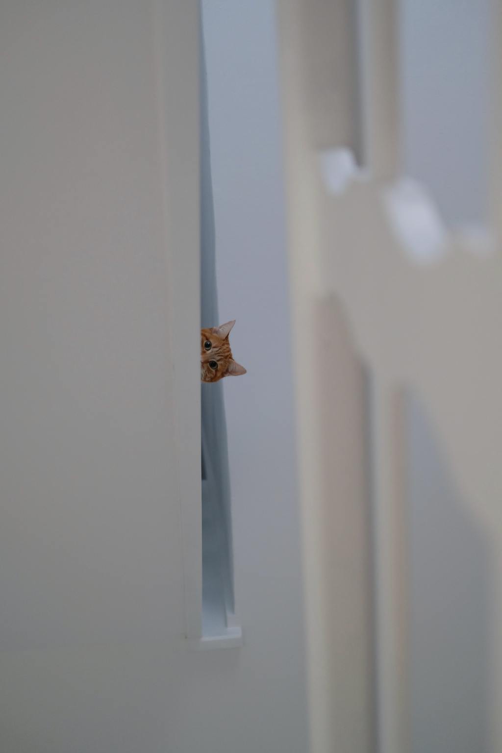 Zabawa w chowanego, autyzm – umiejętności&nbsp;społeczne