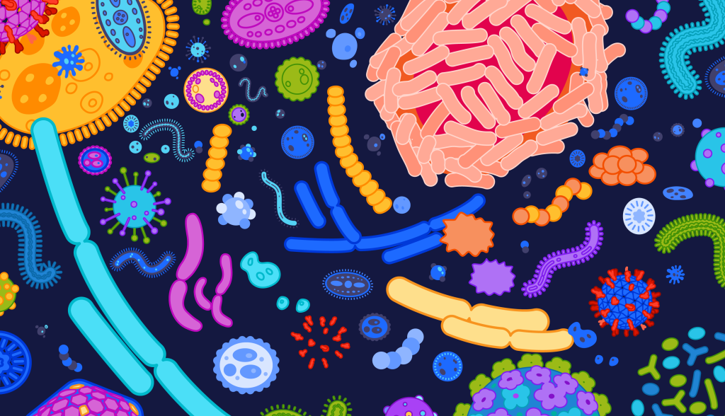 Spektrum Autyzmu i Mikrobiota