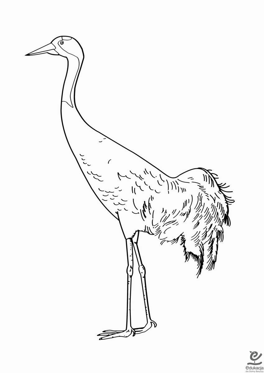 Żuraw – arkusz pracy dla ucznia ze spektrum&nbsp;autyzmu