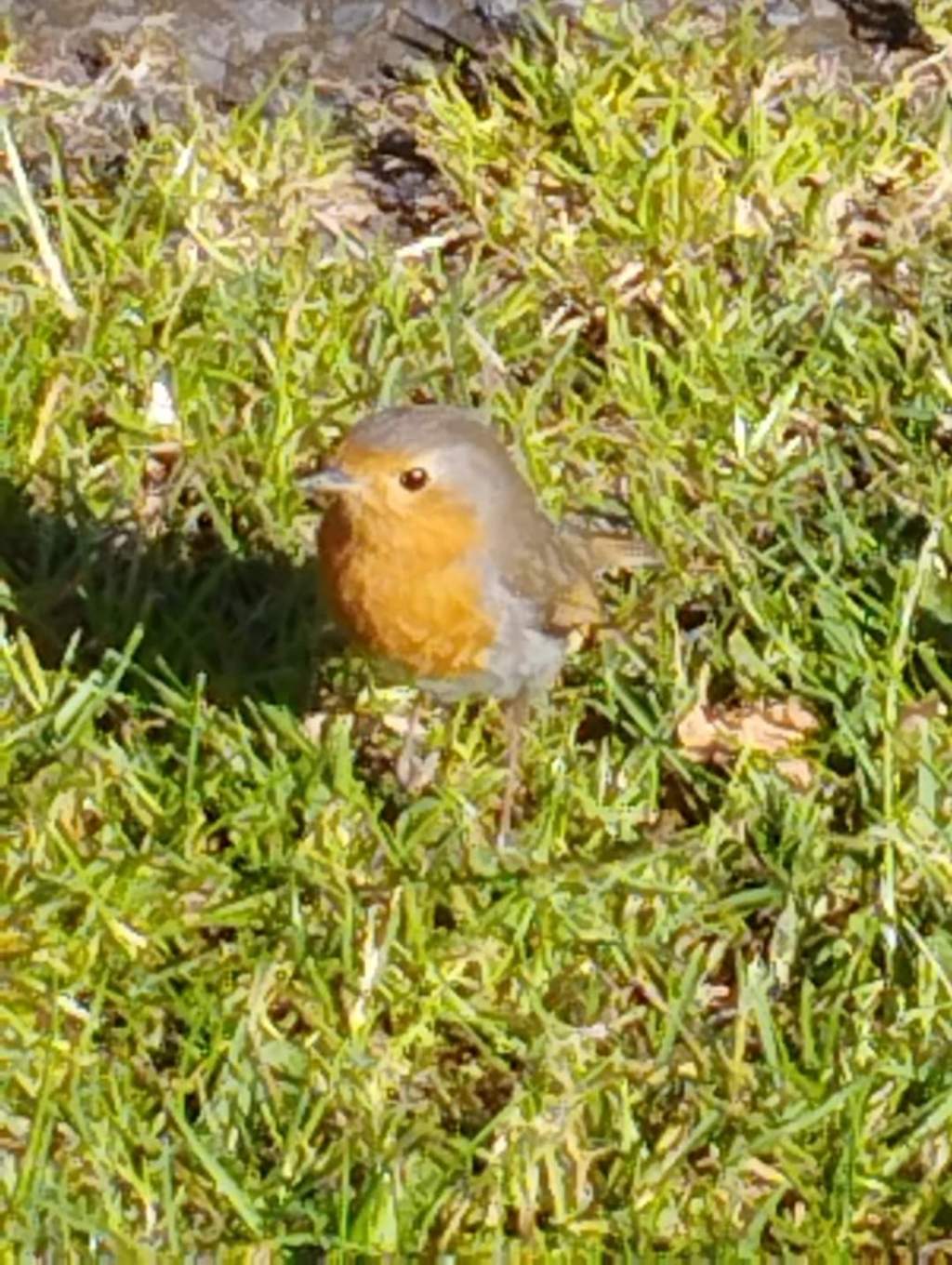 W spektrum … często odpychamy niewłaściwych ludzi. Przyciągamy za to zwierzęta&nbsp;💓