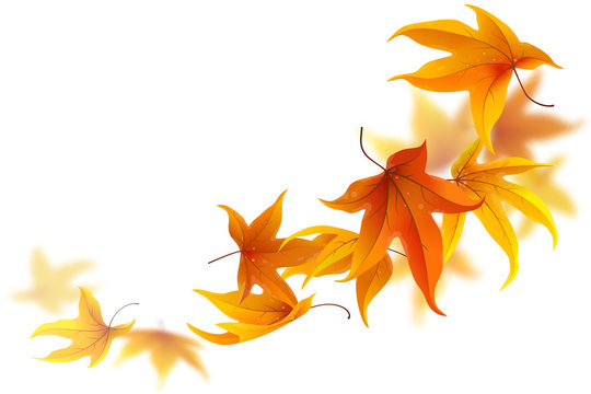Spokojna Jesienna Przygoda - Zajęcia mindfulness dla przedszkolaków ze spektrum autyzmu
