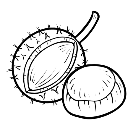 Kasztany – arkusz pracy dla ucznia ze spektrum&nbsp;autyzmu