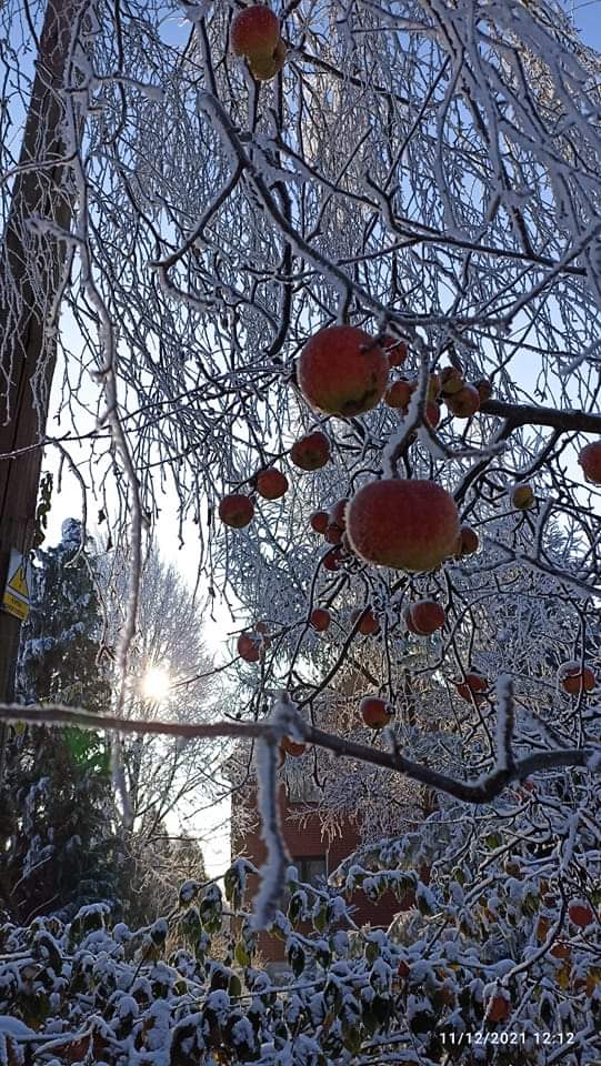 Nieustająca potrzeba…