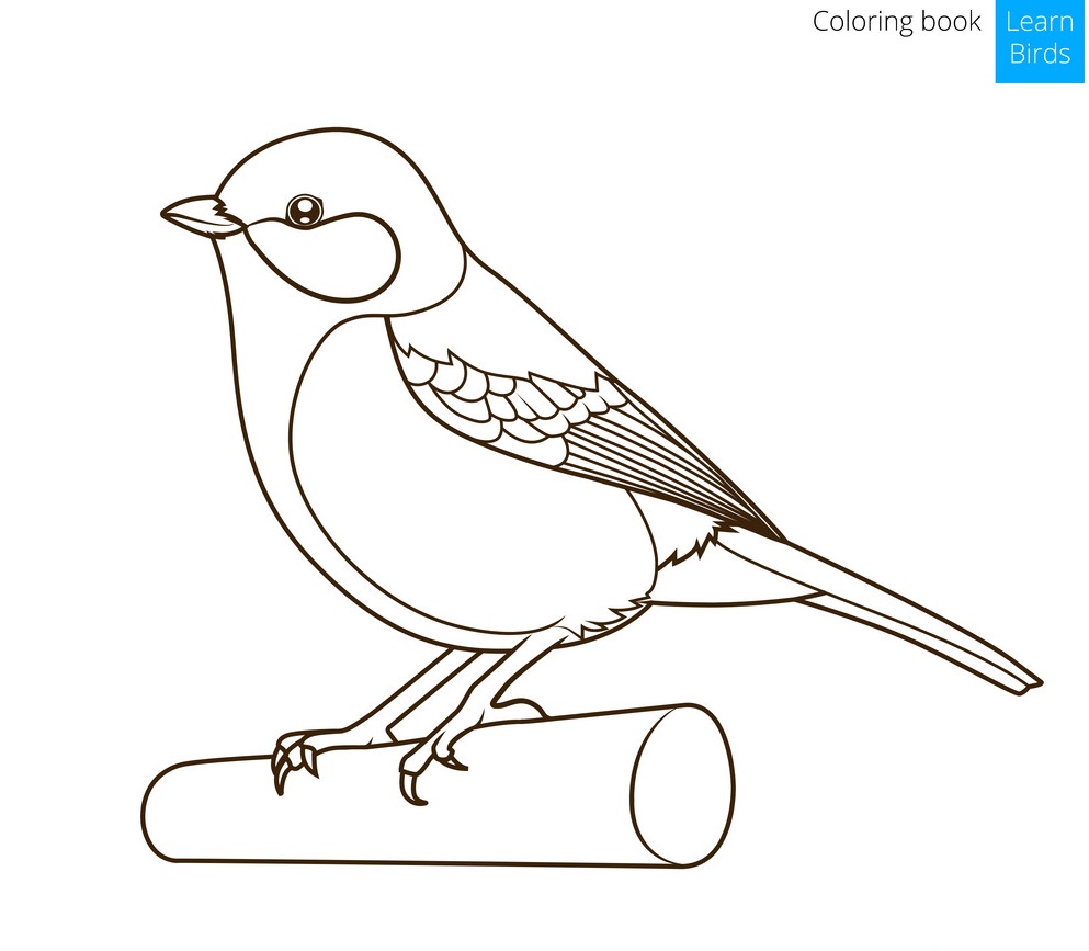 Sikorka bogatka – arkusz pracy dla ucznia ze spektrum&nbsp;autyzmu