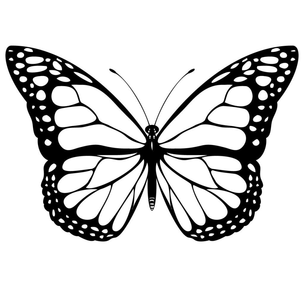 Wspaniały Świat Motyla Monarchy – arkusz pracy dla ucznia ze spektrum&nbsp;autyzmu