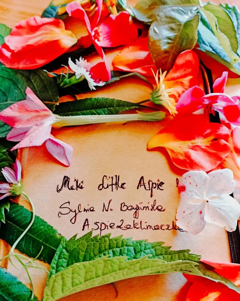 Gdyby nie moja&nbsp;magia?